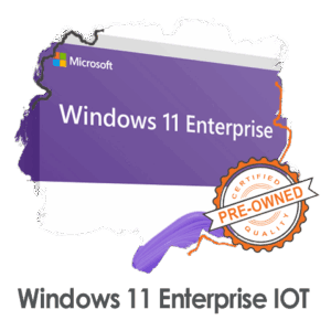 ویندوز 11 اینتر پرایز Windows 11 Enterprise IOT (OEM)